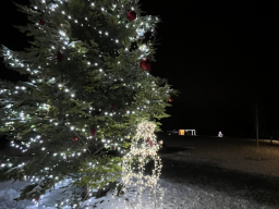 Advent &amp; Vánoce