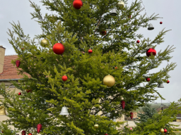 Advent &amp; Vánoce